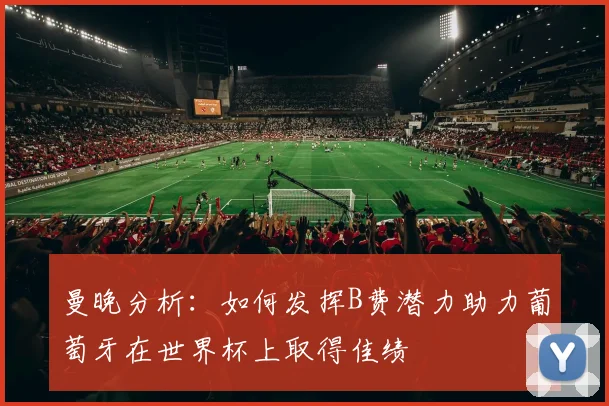曼晚分析：如何发挥B费潜力助力葡萄牙在世界杯上取得佳绩