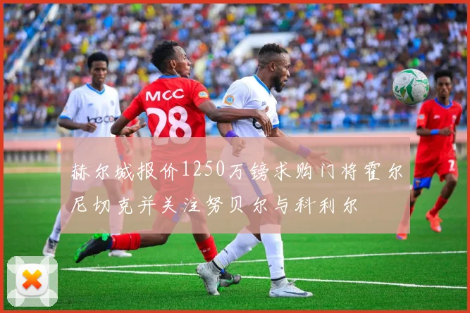 赫尔城报价1250万镑求购门将霍尔尼切克并关注努贝尔与科利尔